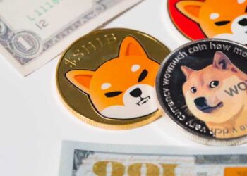 SHIB and DOGE Follow the Broader Crypto Market Into the Red