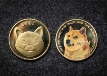 SHIB Jumps 8%, with DOGE also Finding Strong Support