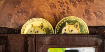 Robinhood CEO on how Dogecoin can be improved to outperform VISA