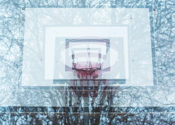 Bitcoin Rebounds Amid Lower Volatility, Altcoins Outperform