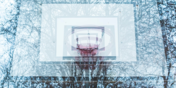 Bitcoin Rebounds Amid Lower Volatility, Altcoins Outperform