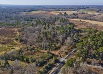 Top Triad economic developer sees multiple ripple effects from megasite projects | Local