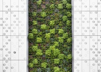 A Greener Future for Crypto and Blockchain