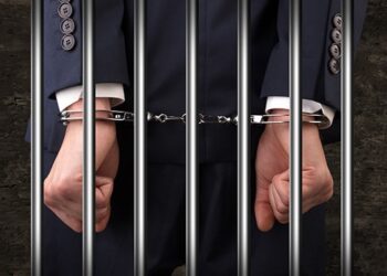 Ethereum developer Virgil Griffith sentence shows the technology is governed by law