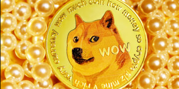 Dogecoin May Soon Work Without Internet By Using Starlink Satellite Network And Radio Towers