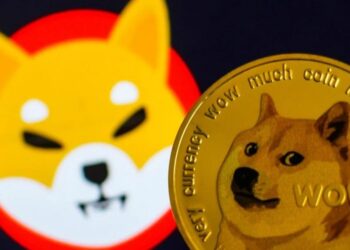 Shiba Inu (SHIB), Dogecoin (DOGE), and SeeSaw (SSW) to Provide King Sized Returns