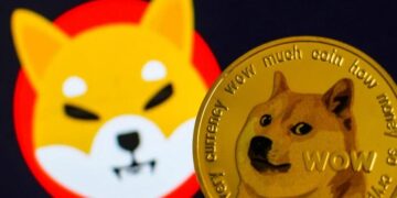 Shiba Inu (SHIB), Dogecoin (DOGE), and SeeSaw (SSW) to Provide King Sized Returns