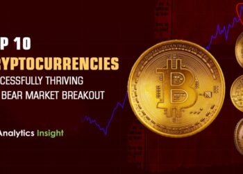 Top 10 Cryptocurrencies Successfully Thriving the Bear Market Breakout