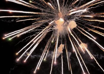 Top 7 Altcoins that Might Explode in 2022