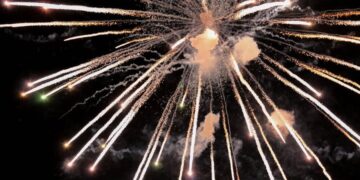 Top 7 Altcoins that Might Explode in 2022