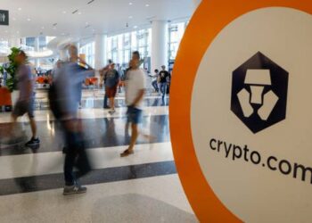 Cryptocurrency USA: can Shiba Inu be the highest rising altcoin this year?