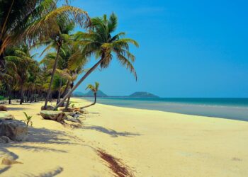 This Obscure Stock’s 2022 Return Makes Shiba Inu, Ethereum Classic, Ripple (XRP) And Baby Dogecoin Look Forgettable