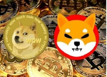 Shiba Inu Coin SHIB, Dogecoin Remain Asleep but Supported