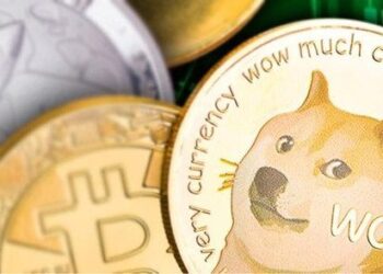 Have DOGE or SHIB accumulated enough energy for a rise?