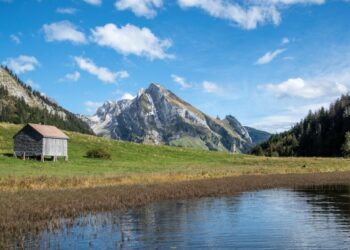 SOL, LUNA, AVAX, ETH- Analyzing the probability of an #altseason