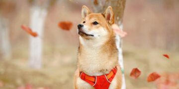 Is Shiba Inu’s ‘James Bond’ role outshining other altcoins