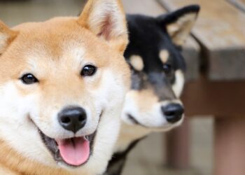 3 Cryptocurrencies to Avoid Like the Plague in April