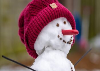 AVAX sandwiched between LUNA, DOGE gets a chance to launch subnets