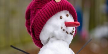 AVAX sandwiched between LUNA, DOGE gets a chance to launch subnets