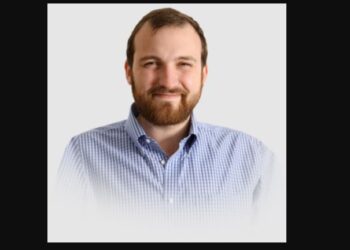 Cardano Founder Fumes at People Requesting for ADA Burns, Says Burning Cardano Is Like Burning Money