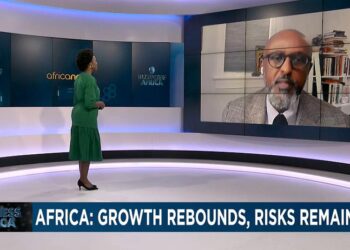 Africa: Economic growth without ripple effect [Business Africa]