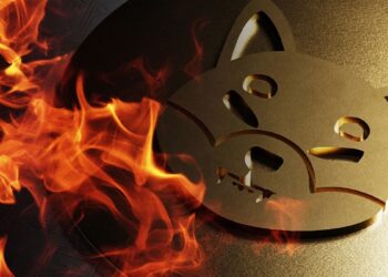 Shiba Inu price: How the SHI stablecoin could help it recover