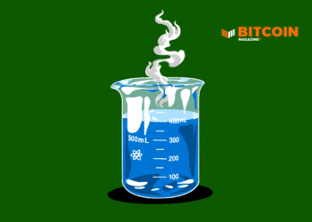 Bitcoin Songsheet Science Fiat Hype