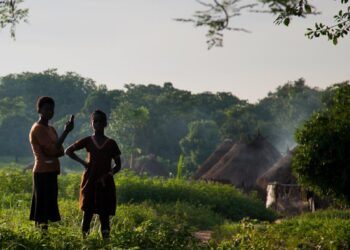 The blockchain promising to make Africa Web3 leader