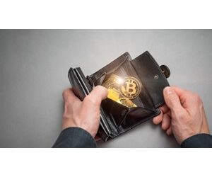 5 digital wallets helping Americans invest in digital currency