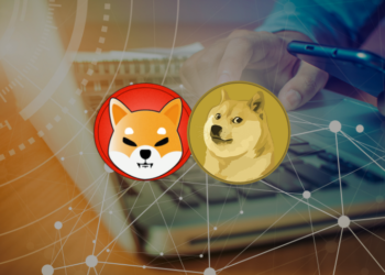 Can Shiba Inu Coin SHIB and Dogecoin Turn Bullish At Support?