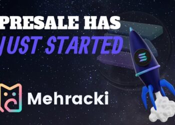 Earn Millions with Mehracki (MKI), Cardano (ADA), and Avalanche (AVAX)