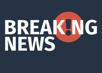 Cardano has dipped below $0.50, increasing the risk for a 50% correction