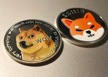 Assessing how Dogecoin [DOGE] has changed since its ATH last year