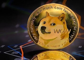 Dogecoin TO PKR: Today’s Dogecoin Price in Pakistan on, May 6, 2022.