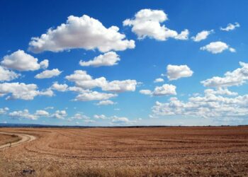 Fantom [FTM] trumps TerraUSD [UST] as investors were dumbfounded by…