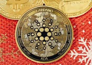 $ADA: IT Engineer Leaves Job at TradFi Firm To Work With Cardano