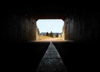 Can Litecoin’s [LTC] long-awaited MWEB update shine a light to end this darkness