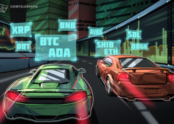 BTC, ETH, BNB, ADA, XRP, SOL, DOGE, DOT, AVAX, SHIB