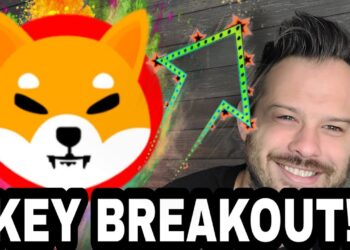 Shiba Inu Coin | #SHIB Could Break This Key Level!