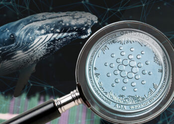 Cardano’a ADA Now Among Most Wanted Assets by Top BSC Whales