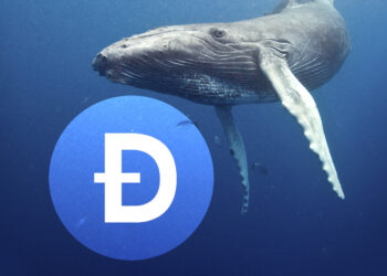 Dogecoin Whale Transactions Jump 45% as DOGE Sees Buying Pressure