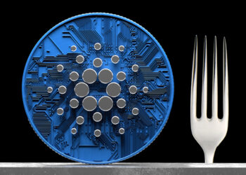 Crucial Decision on Testnet Hard Fork to Be Made Next Week