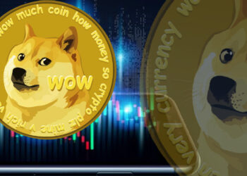 DogeCoin Presenting Some Good News In The Face Of Crisis – The Coin Republic