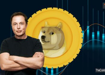 Dogecoin depends on tweets by Elon Musk: CEO of Ripple