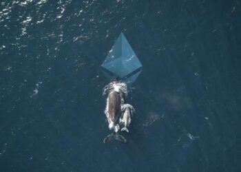 The Small Cap Altcoins That Ethereum Whales Are Bullish On