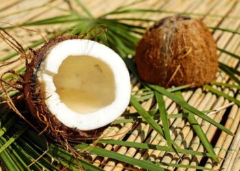 Litecoin [LTC] drops beneath range lows, could $50 be next