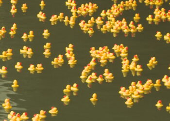 Thousands flock to Broad Ripple for annual rubber duck race – WISH-TV | Indianapolis News | Indiana Weather