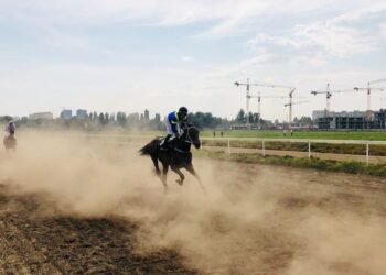 Market Wrap: Cryptos Rise With Altcoins in the Lead – CoinDesk