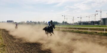 Market Wrap: Cryptos Rise With Altcoins in the Lead – CoinDesk