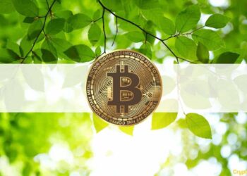 Bitcoin Maintains $30K as Altcoins Consolidate (Market Watch)